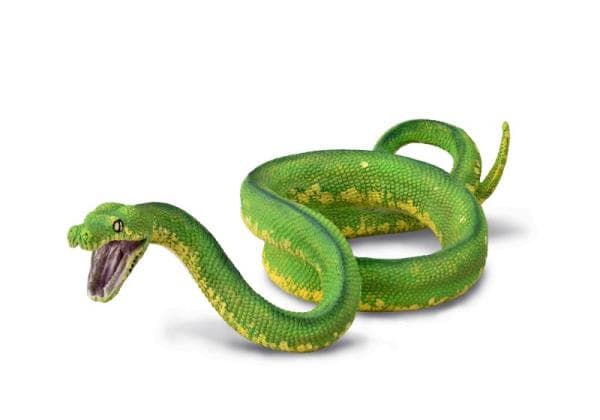 Grøn python