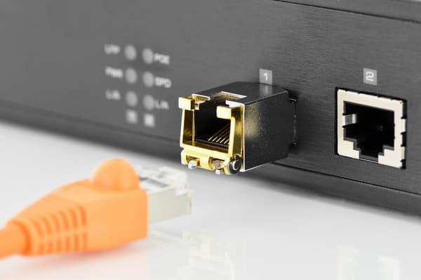 DIGITUS netværkstransceivermodul DN-81210 - SFP+