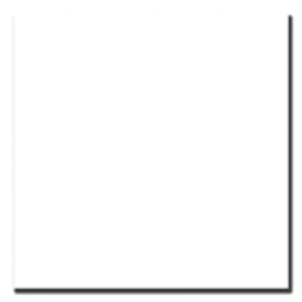 Walimex tygbakgrund 2,85x6m, vit