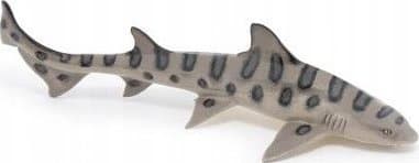 Leopardihai
