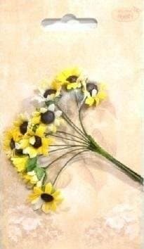 Papperssolros 10st naturlig