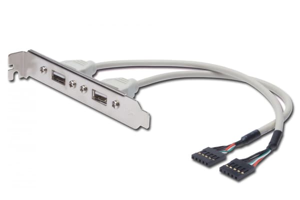 DIGITUS USB-kortplatskabel - 2x USB Typ-A/2x IDC (5-pin) - 25 cm