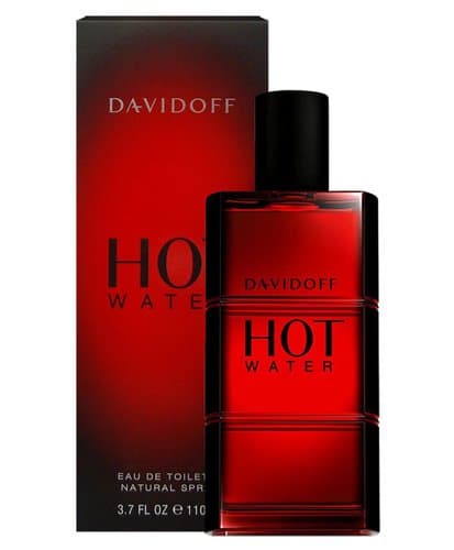 Herrparfym Davidoff Hot Water EDT (110 ml)