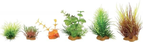 Zolux Plantedekorationer mix 6 stk sæt af 3 (352132)