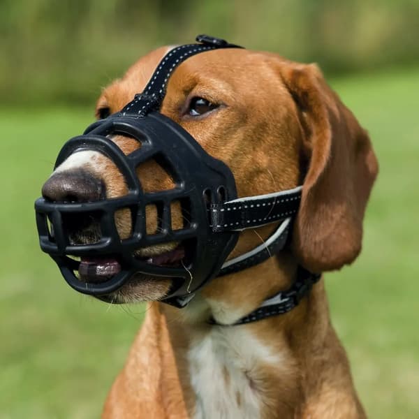 Muzzle Flex, silikoni, koko M–L, musta