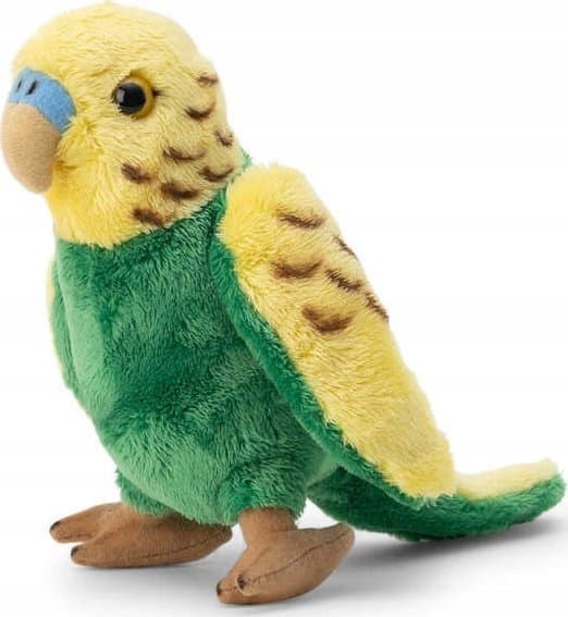 Bølgepapegøje