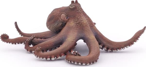 Ottoriasis