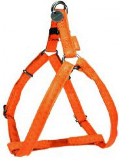 Zolux Justerbar Sele Mac Läder 25 mm - orange