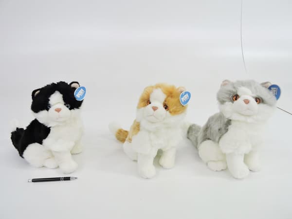 Katte 30cm MIX