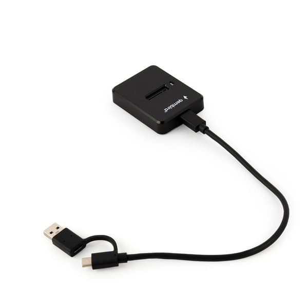 GEMBIRD Dockningsstation för M.2 SATA och NVME SSD svart