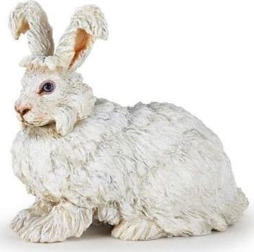Angora crolik