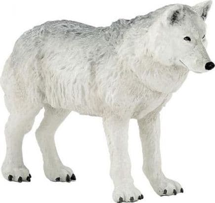 Polarvarg