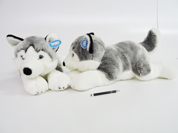 Husky 62cm