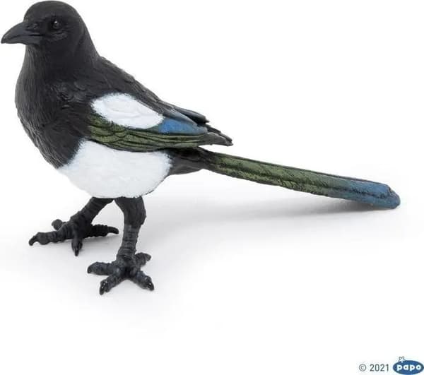 Skata