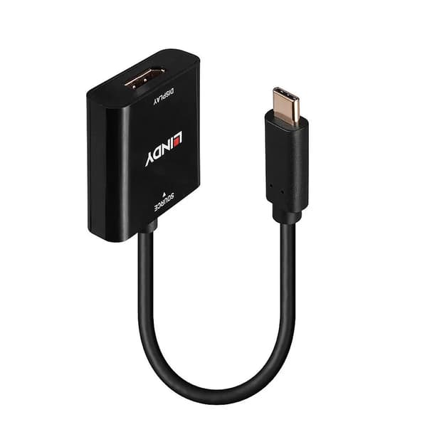 Lindy - videoadapter - 24-stifts USB-C till DisplayPort - 21 cm
