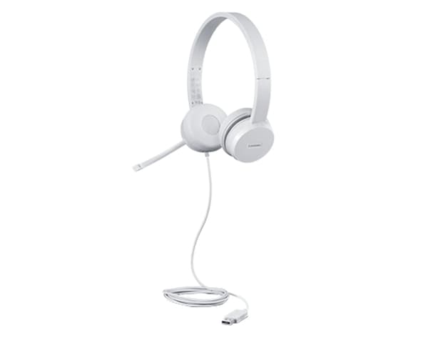 Lenovo 110 Stereo USB-headset