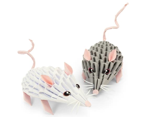 Alexander Creative Set Origami 3D HIIRI 2567