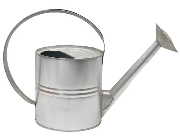 Galvaniseret vandkande med 10L si