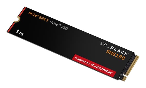 SSD WD Black SN8100 uden HS 1TB WDS100T1X0M