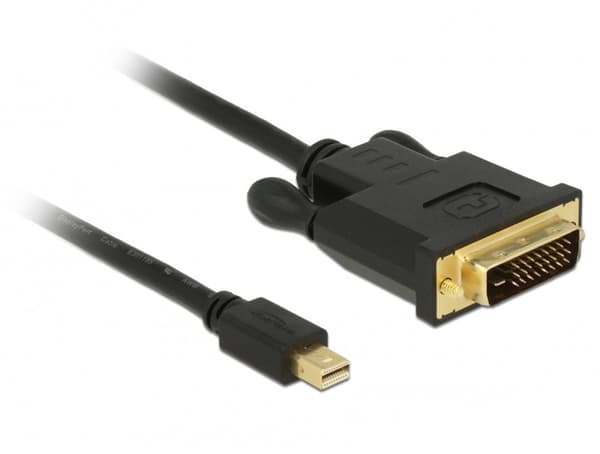 Kaapeli Delock DisplayPort Mini - DVI-D 2m musta (83989)