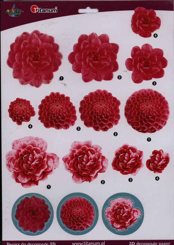 3D decoupage papir krysantemum blomster ark