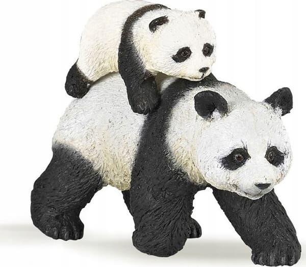 Panda med en unge
