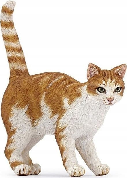 Rødhåret kat