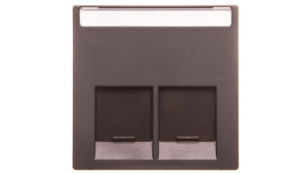Schneider Electric Merten System M Centralplade dobbeltstik computer RJ45 antracit MTN466514