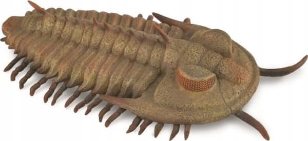 Collecta-hahmo REDLICHIA REX TRILOBIITTIHAHMO - CollectA - 88906 - L