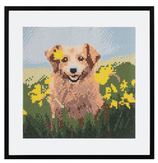 Timanttimaalaus - Timanttikirjonta 30 x 30 cm - Koira