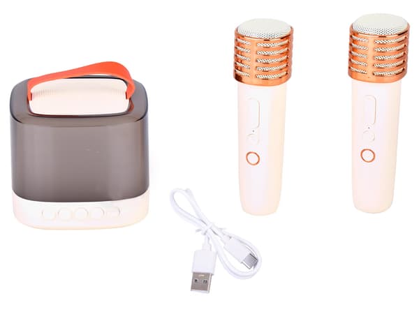 Bluetooth højttaler + trådløs mikrofon x2 KARAOKE SÆT IN0178