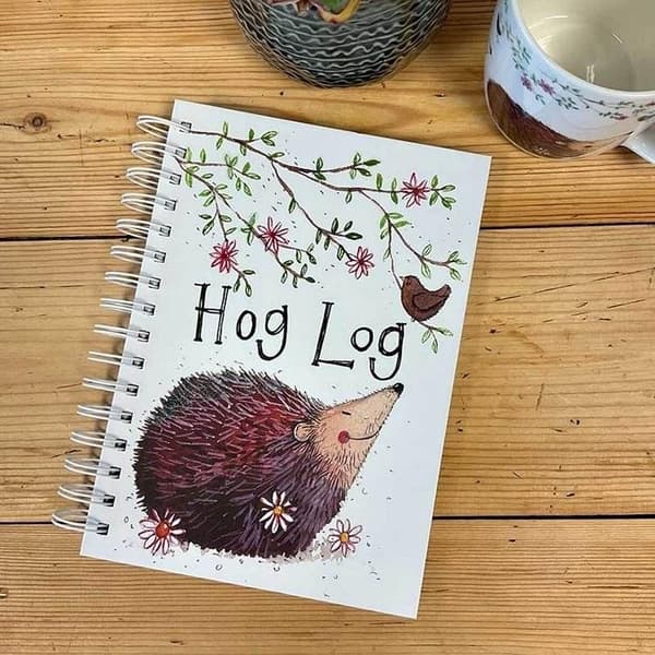 Pyörätuoli A5/100K SJ11 Hedgehog TW