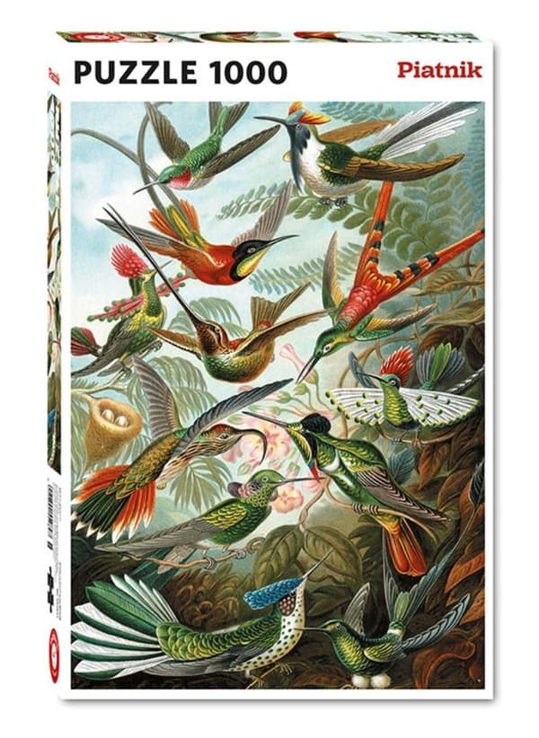 Palapeli 1000 - Haeckel, PYATNIK Kolibrit