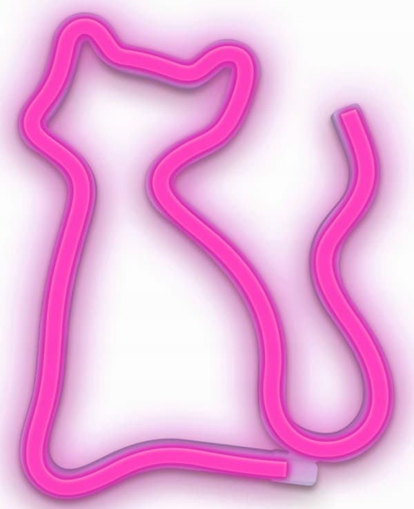 Neon LED Pink CAT Bat + USB FLNEO4 Forever Light