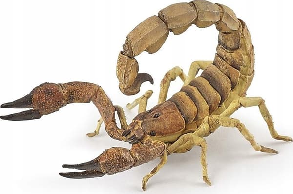 Skorpion