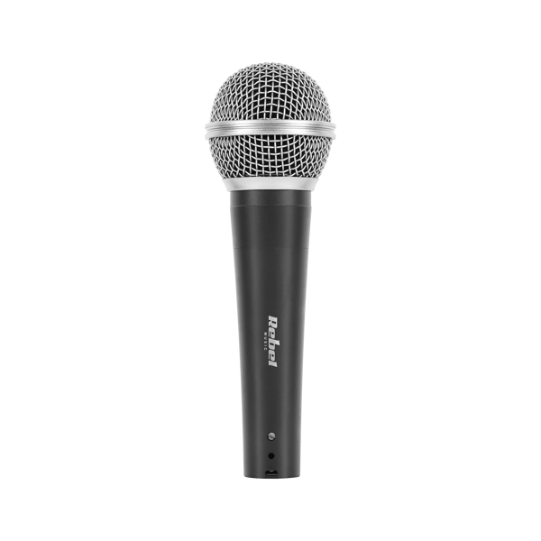 Mikrofon DM-80