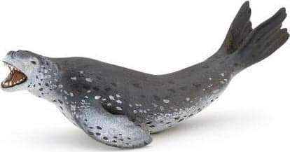 Søleopard