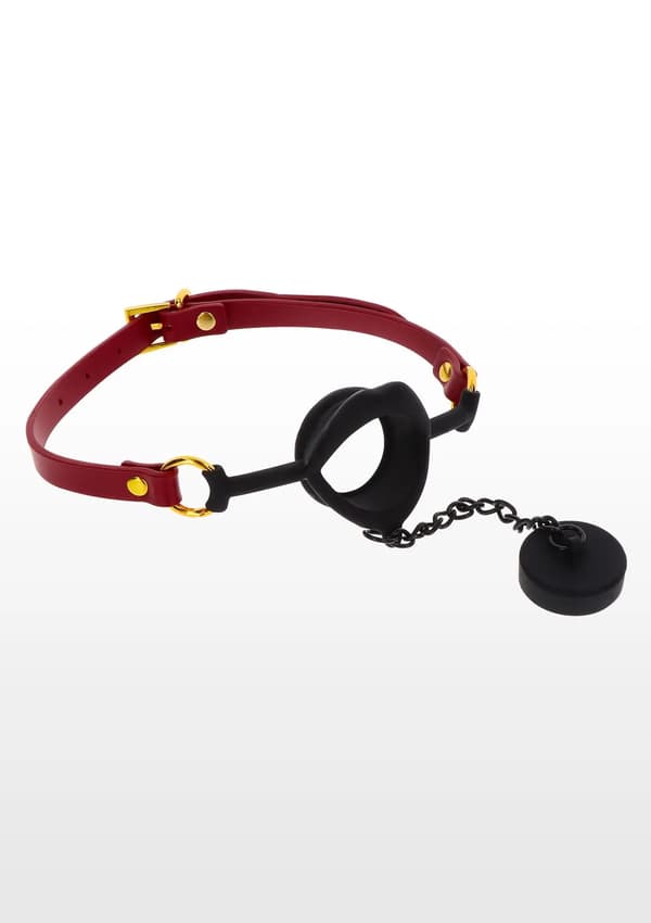 Kinky Gag med Plugg Röd