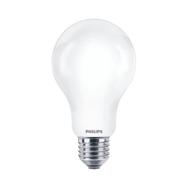 LED-lamppu E27 13W 2700K A67 (2kpl)