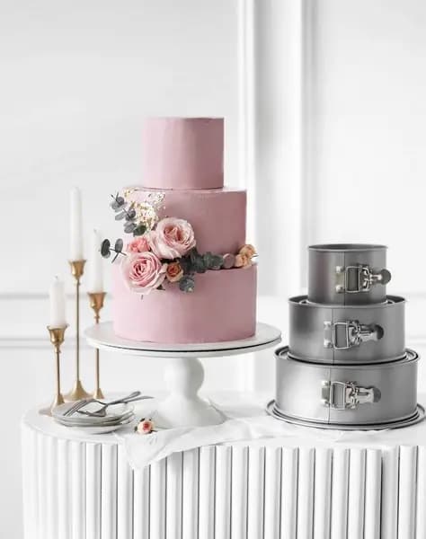 Patisse springform med hög kant 22 cm stål silver