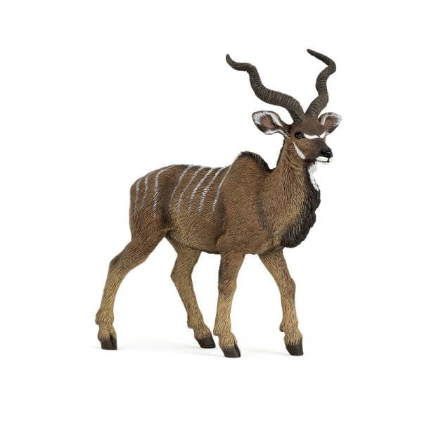 Den stora antilopen kudu