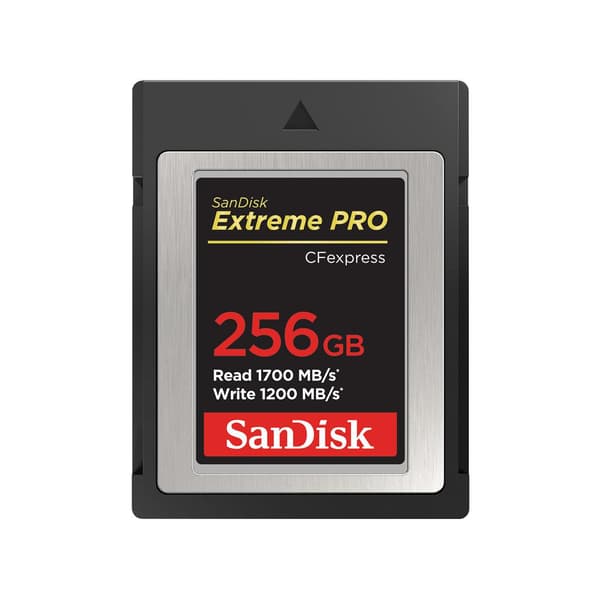 SanDisk CF Express Typ 2 256GB Extreme Pro SDCFE-256G-GN4NN