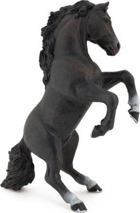 Stallion deba svart