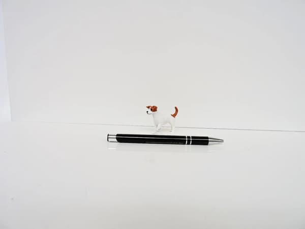 Jack Russell Terrier