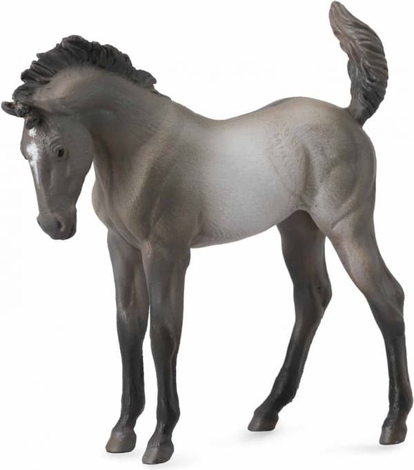 Grulla-värinen Mustang-varsa