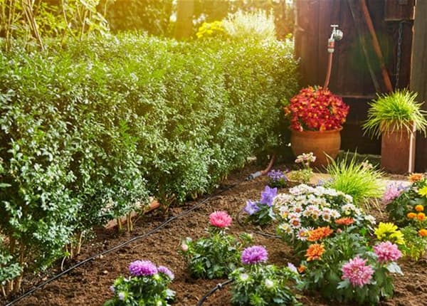 Gardena Micro-Drip-System Planted Rows
