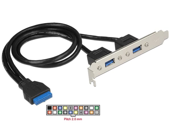 Delock Slotblech 2x USB3.0 externt