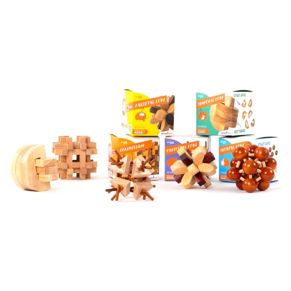 Hjernegåde 1 - Frontallap - Recent Toys - niveau 3/5