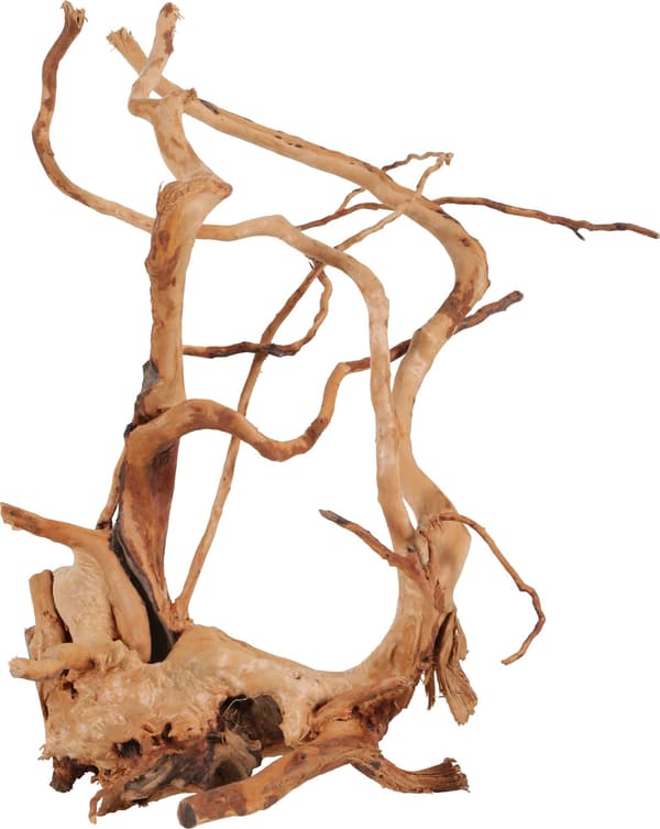 Zolux japansk rot Spider Wood 40-50 cm