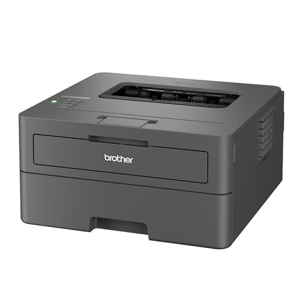 Brother HL-L2400DW - printer - S/H - laser